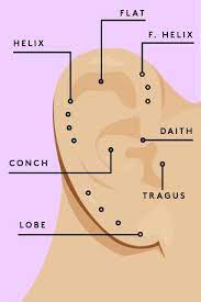 Creative Ear Piercing Combos Straight From The Pros Piercings Ear Piercings Chart Ear Piercings
