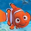 Watch the clip titled baby dory for the film finding dory (2016). Https Encrypted Tbn0 Gstatic Com Images Q Tbn And9gcqh5jjxf Lowgyjl8r0c0oow1 5up2jq37mzoqs8u4stap9zqca Usqp Cau