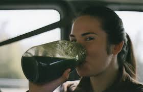 2019 Climbing Program Participant Guide