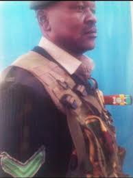 Grieving the Loss of a Best Friend