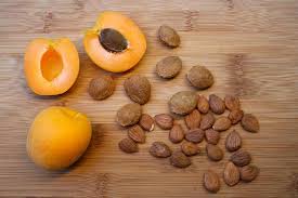 The armenian plum (commonly called apricot) is the national fruit of armenia and has been cultivated there for centuries. All About Apricot Seeds Apricot Power