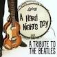 The Beatles covered by Hard Night's Day