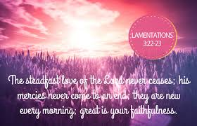 Great is Your Faithfulness {Lamentations 3:22-23} - faithgirlz