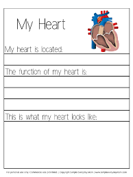 human body worksheets for kindergarten up