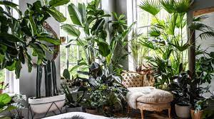 Room with plants zoom background. I M A Plant Stylist Here Are 4 Tips To Make A More Peaceful Home
