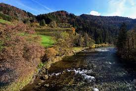 Schicken sie uns ihr rezept zur vorbestellung zu, geben sie uns ein feedback, oder nehmen sie über die app jederzeit kontakt mit uns auf. Herbst Im Ybbstal Foto Bild Fotoquerschnitt 1 Natur Herbst Bilder Auf Fotocommunity