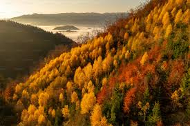 Autumn Landscape Pictures | Download Free Images on Unsplash