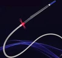 Optical coherence tomography catheter - LumenCross® F2 ...