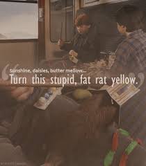 Sunshine Daisies Butter Mellow Turn This Stupid Fat Rat Yellow Rap Https Encrypted Tbn0 Gstatic Com Images Q Tbn 3aand9gcq2wfoobxsuc3xmmnskk7idmr Usxtrvbuhya Usqp Cau