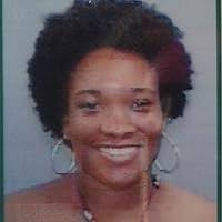 White Lilacs by Carolyn Meyer