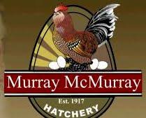 Check spelling or type a new query. The History Of Murray Mcmurray Hatchery Tbn Ranch Chicken Keeping Resources