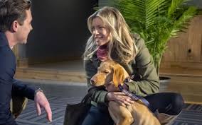 Check spelling or type a new query. Love At First Glance 2017 Amy Smart Adrian Grenier Michael O Curran Brandon Ray Olive Rhys Matthew Bond John Shea Movie Review
