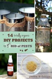 Getting the bugs and pests eliminated is the key to getting a good crop. Organic Ways Of Getting Rid Of Pests In The Garden Garden Therapy