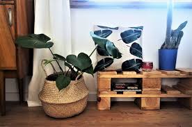 Monstera Ikea Fladis Www Panikroliczek Blogspot Com Ikea Interior Design Inspo