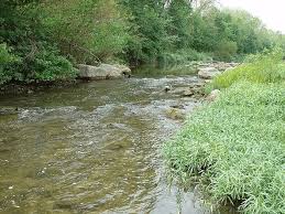 Floristic quality assessment index (FQAI) for vascular plants and mosses  for the State of Ohio