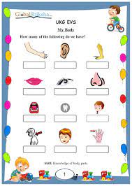 buy global shiksha ukg enviornmental science evs worksheets for kids cbse icse and other state board ukg worksheets activity books for 5 7yrs old kid 270 engaging activity worksheets book online at low prices