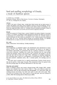 Image result for Entada bacillaris