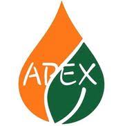 Apex landscaping can help you plan the next stage of your home and garden. Apex Landscaping Inc Eustis Fl Alignable