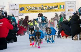 The green party, meanwhile, is. Pandemic Takes Yukon Out Of The 2021 Yukon Quest Sled Dog Race Anchorage Daily News