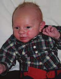 News of the Department of Animal Science