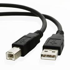 Mac os x select move > application > epson software > epson software updater. Usb Printer Cable For Epson Expression Home Xp 245 All In One 1m 3 3ft Buy Online In Guadeloupe At Guadeloupe Desertcart Com Productid 49214071