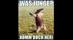 Die Lustigsten Bilder Fur Whatsapp Bilder Screenshots Computer Bild Hey, ich brauche ein neues whatsapp bild und will eins mit gitarre machen. die lustigsten bilder fur whatsapp