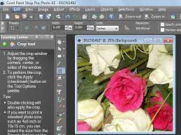 How To Create A Transparent Png File With Paint Shop Pro Paint Shop Painting Painting Photos