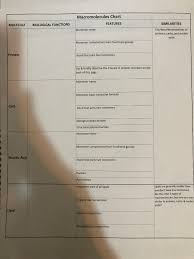 Solved Macromolecules Chart Features Molecule Biological