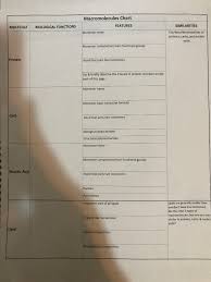 Solved Macromolecules Chart Features Molecule Biological