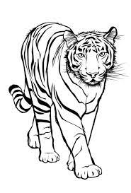 Tiger Malvorlagen Tiger Malvorlagen Kostenlos Zum Ausdrucken Ausmalbilder Tiger Ideen Ausmalbilder Ausmalbilder Zum Ausdrucken Ausmalen