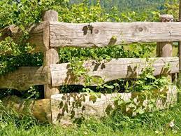 cloture jardin bois pour un exterieur tout naturel fence design garden fencing rustic fence