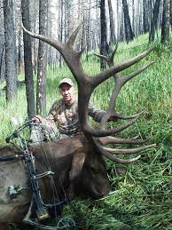 This is up for debate, but district 380 is one of our most prized permits, lemon told me. Elk Hunting In New Mexico