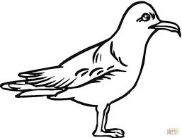 I did not draw these. Sea Gull Coloring Pages Kidsuki