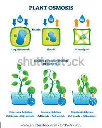 (out of / into) ? Shutterstock Puzzlepix