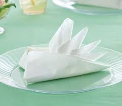 Bird Of Paradise Napkin Folding Instructions Bird Of Paradise Napkin Fold Napkin Folding Turkey Napkin Fold Paper Napkin Folding