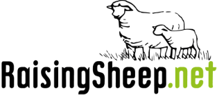 Katahdin Sheep Katahdin Hair Sheep Breed Katahdin Sheep Sheep Sheep Breeds