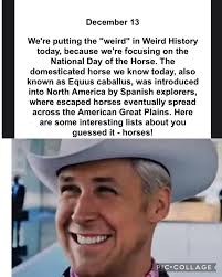 Please share with your horsey friends!