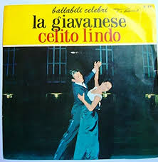 Image result for dischi liscio copertine