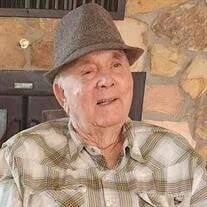 Mr. Willie Louis "Pete" Busby Obituary (2024)