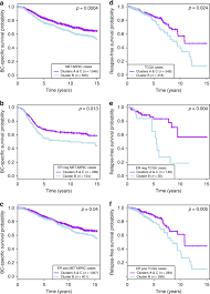 Rarely, locally advanced stage iii tumors, which are typically considered unresectable (do not qualify for surgery), are characterized as borderline. An Independent Poor Prognosis Subtype Of Breast Cancer Defined By A Distinct Tumor Immune Microenvironment Nature Communications