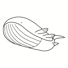 321 coloring pages illustrations to print and color. 321 Wailord Coloring Page By Nikki M Garrett On Deviantart
