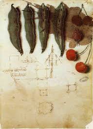 Da Vinci Entre La Cocina Y La Filosofia Dibujos Leonardo Da Vinci Citas De Arte