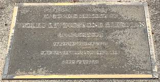 Violet Livingstone Jackson Stedman (1899-1997)