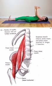 Soft tissues around the spine play a key role in low back pain. Lower Back Pain Near Hip Area