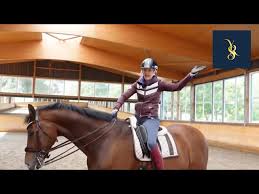 How To Sit The Canter Properly: 12 Steps (With Pictures) - Wikihow