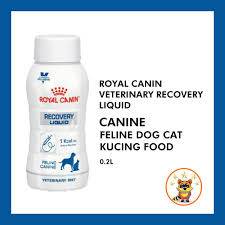Royal canin veterinary diet feline & canine recovery rs canned cat food & canned dog food. Buy Royal Canin Veterinary Recovery Liquid Canine Feline Dog Cat Kucing Food 0 2l Seetracker Malaysia