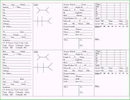 Nursing Shift Rt Template Sheet Rn Nurse Sample Report Within Nurse Shift Report Sheet Template Best Templa Nurse Brain Sheet Nurse Report Sheet Sbar Nursing