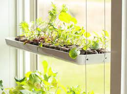 Turn Your Windows Into Grow Space With The Sekuragarden Vertical Garden Indoor Vertical Vegetable Garden Herb Garden Wall