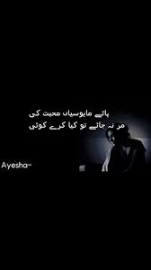 Pin By Ayat Noor On Shayari Photo Quotes Urdu Poetry Urdu Quotes