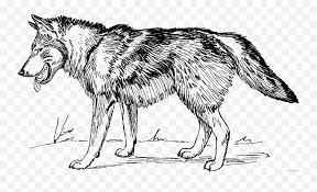 Check spelling or type a new query. Wolf Coloring Pages Wolf 2 Printable Coloring4free Wolf Clip Art Black And White Emoji Wolf Face Emoji Free Transparent Emoji Emojipng Com